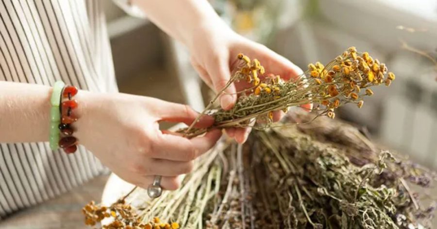 Herbal Medicine